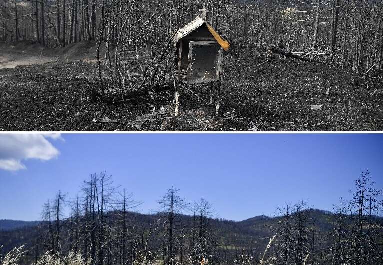 A composite photo of a burned-out pine forest near the village of Kokkinomilia on the Greek island of Evia, with the top one tak