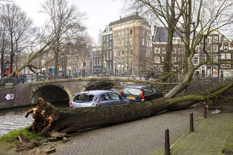 A fallen tree lies beside damaged vehicles on the side of a canal in Amsterdam —two people were killed after the storm battered 