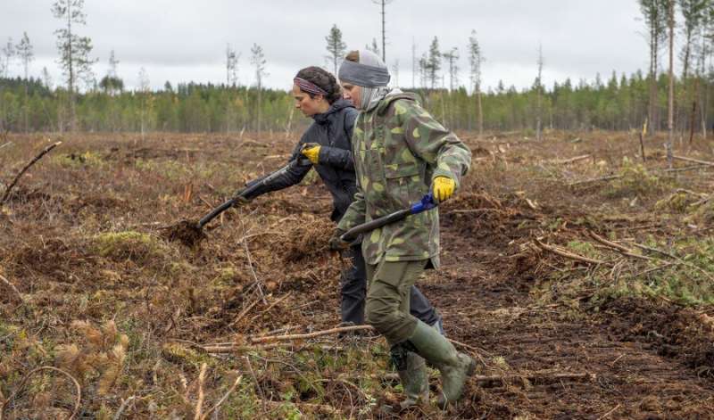 A Finland of forests and peatlands is a carbon sink