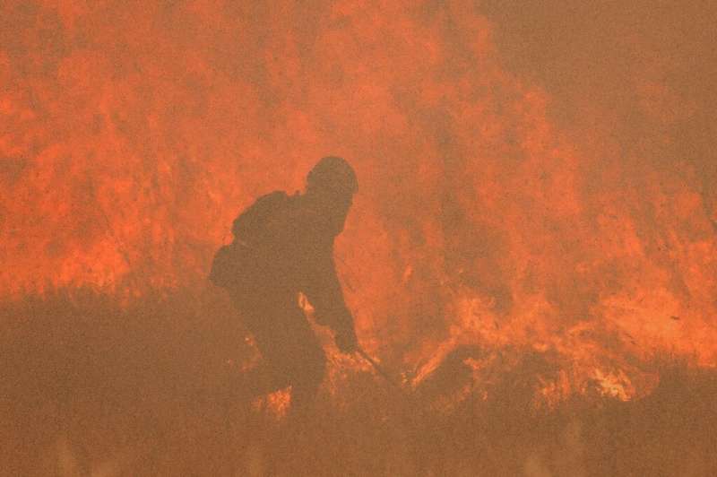 A firefighter battles a wildfire near the village of Pumarejo de Tera in northwestern Spain