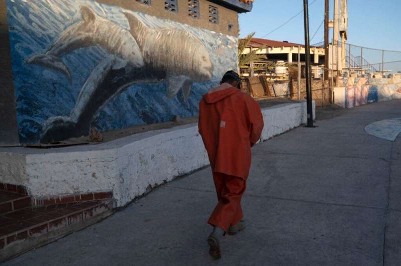 The fisherman walks after a photo of a vaquita porpoise in San Felipe in northwestern Mexico