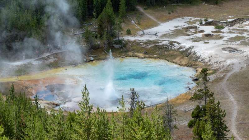 A Fresh View of Microbial Life in Yellowstone’s Hot Springs