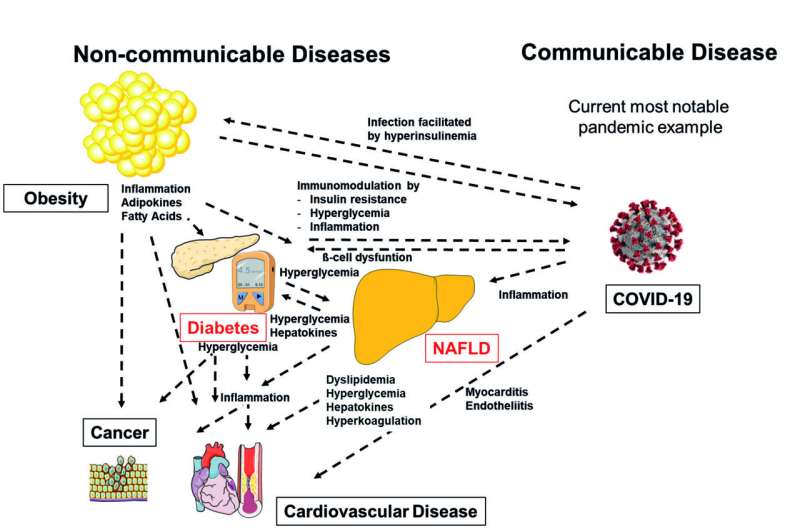 A global view on fatty liver and diabetes helps to fight these diseases, other non-communicable diseases and COVID-19
