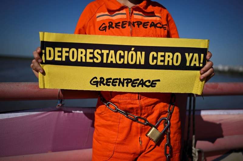 A Greenpeace protester chained to a bridge in northeast Argentina highlights the deforestation of the Gran Chaco
