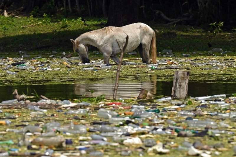 A horse surrounded by plastic waste drinks water in the Cerron Grande reservoir in Potonico, El Salvador