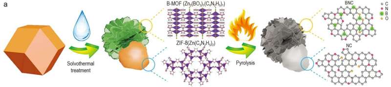 A Janus carbon electrocatalyst can balance the intrinsic activity and electronic conductivity