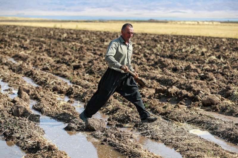Un agricultor kurdo cava con una pala zanjas de riego para obtener agua de un pozo, en el distrito de Rania, cerca de la presa de Dukan.