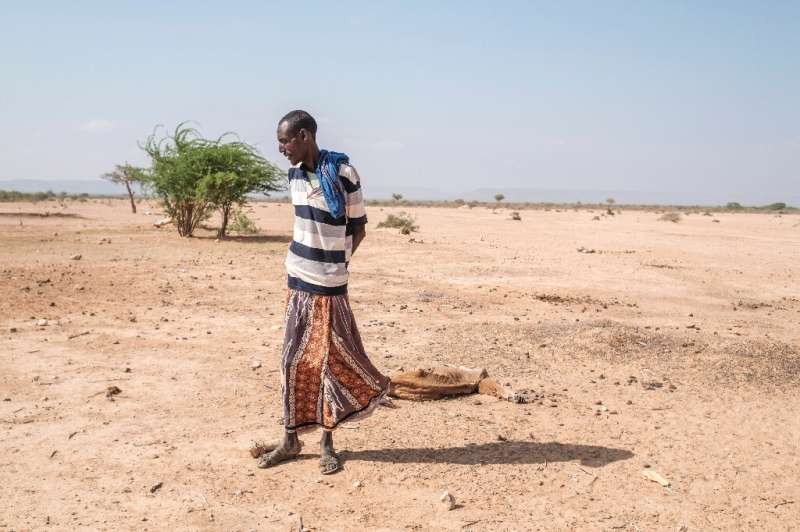 A man stands next to the dried-up carcass of a dead cow in the parched village of Hargududo in southeastern Ethiopia