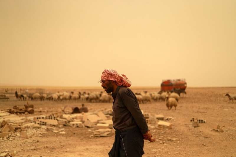 A man walks near sheep grazing in a dry field during a sandstorm in Raqqa province of Syria, one of the countries most vulnerabl