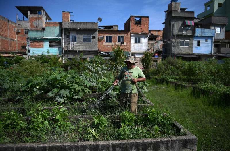 A man waters vegetables at an urban garden in the Manguinhos favela, in Rio de Janeiro, Brazil, on May 4, 2022