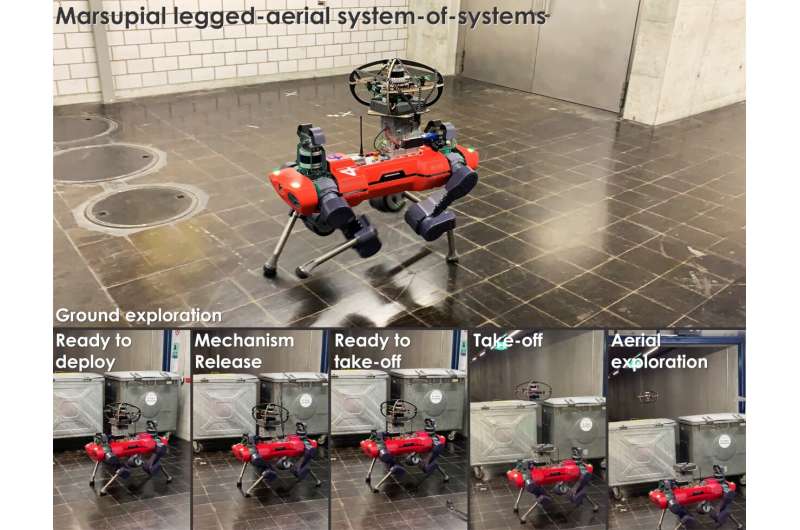 A marsupial robotic system that combines a legged and an aerial robot