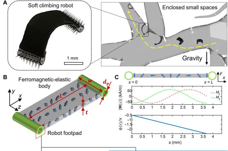 A millirobot for climbing around in the gut to deliver drugs