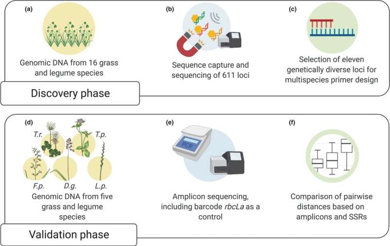A multispecies amplicon sequencing approach for genetic diversity assessments in grassland plant species – Department of Environ