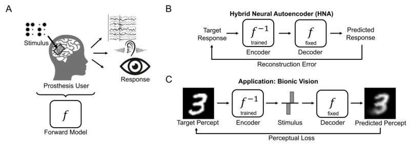 A neural autoencoder to enhance sensory neuroprostheses