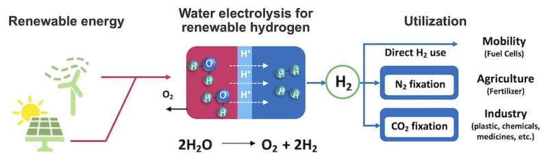 Una nueva forma sostenible de producir hidrógeno para pilas de combustible y fertilizantes