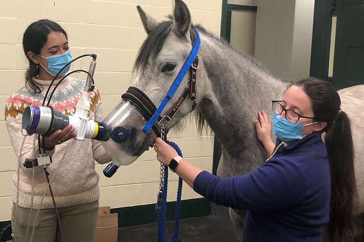 A new tool for equine health
