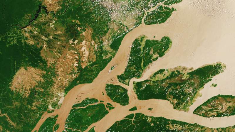 A new “truth” about the rainforest: How Bolsonaro's supporters misuse satellite data