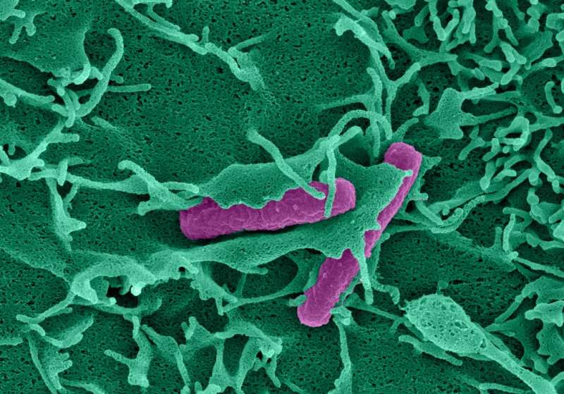 A new way to detect infection