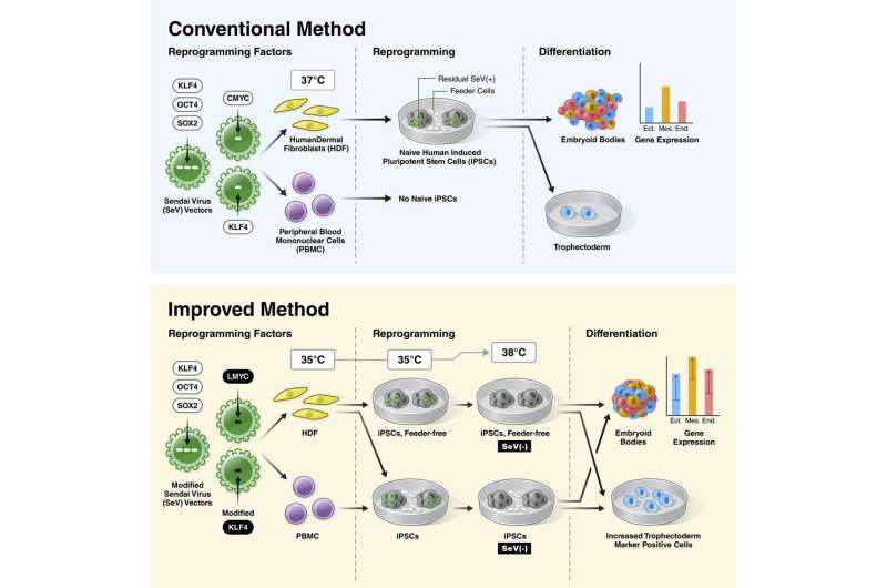 A novel method for generating naive human iPS cells with significantly higher differentiation potency