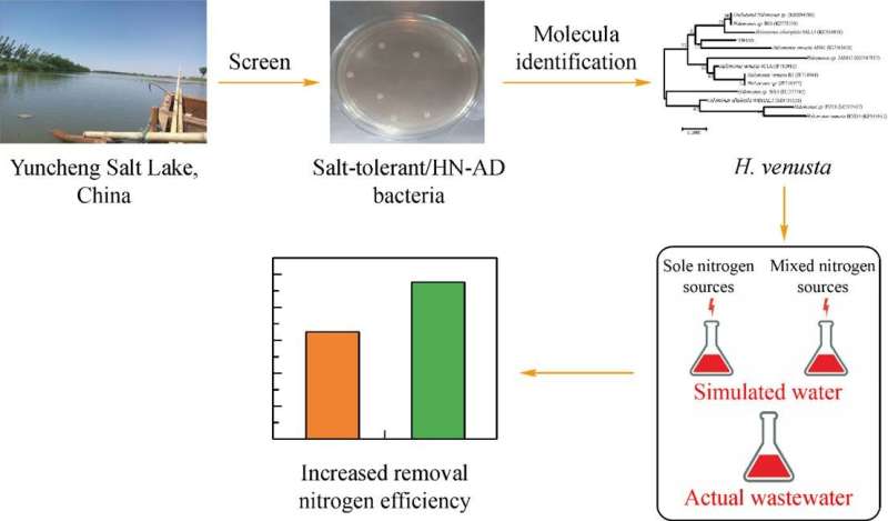 A novel method of treatment high-salinity nitrogenous wastewater: Halomonas venusta TJPU05