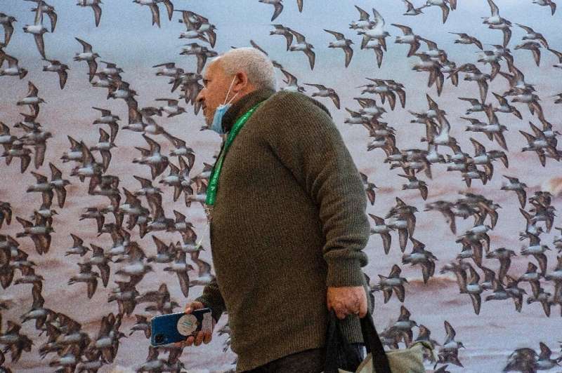 A person walks past a poster with a flock of birds on it during the United Nations Conference of the Parties (COP15) in Montreal
