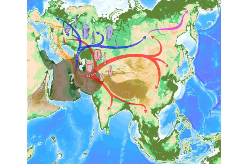 A population Hub out of Africa explains East Asian lineages in Europe 45.000 years ago