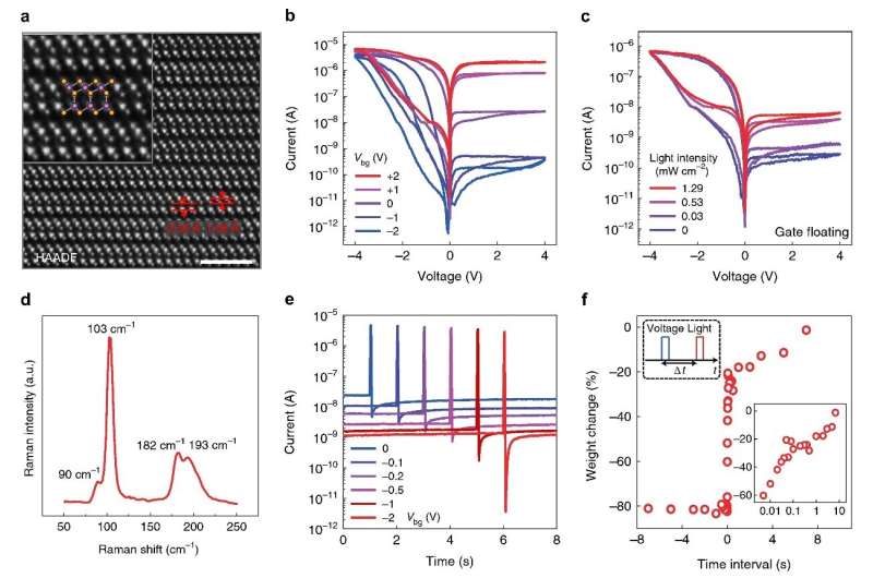 A promising optoelectronic synapse for reservoir computing based on alpha-Indium Selenide