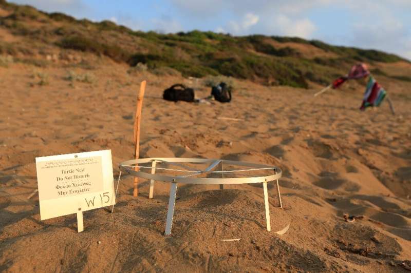 A protected turtle nest is seen at Lara beach in Cyprus