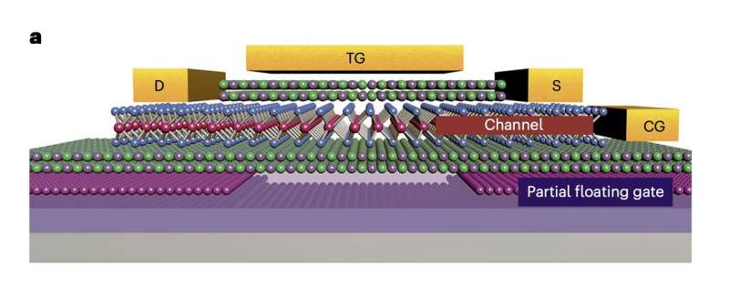 A reconfigurable device based on 2D van der Waals heterostructures that works both as a transistor and memory