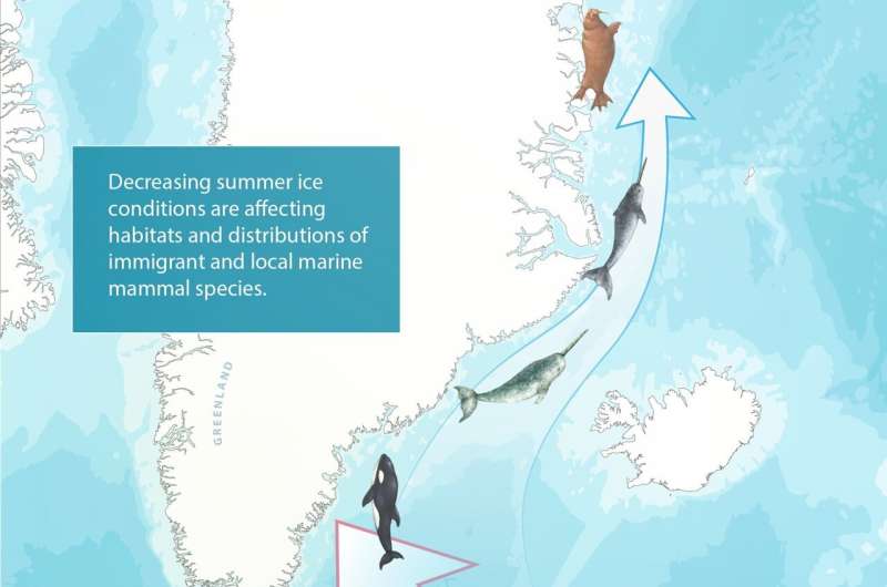 A regime shift in an Arctic marine ecosystem likely to become permanent