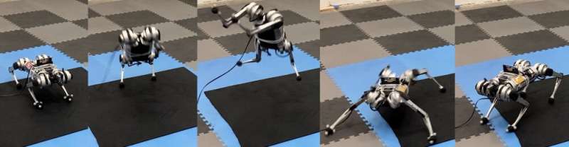 A reinforcement learning-based four-legged robotic goalkeeper  