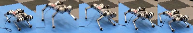 A reinforcement learning-based four-legged robotic goalkeeper  