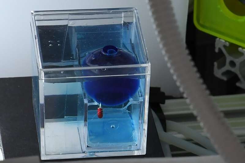 A simulation shows how a remote-controlled micro robot (with red body) could be used to puncture a cyst (represented by blue bal