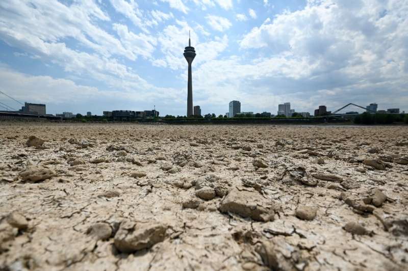 A 'summer of extremes' saw the water level of Germany's Rhine river drop