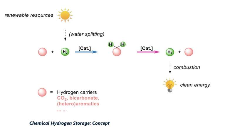 A system for the reversible hydrogenation of carbon dioxide into formic acid