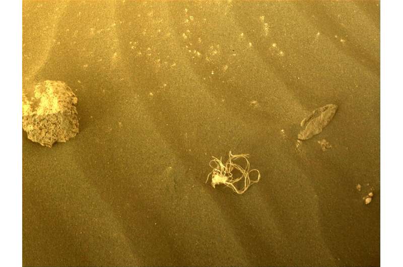 obrázek: Rover Perseverance našel na Marsu něco, co vypadá jako zašmodrchaný provaz