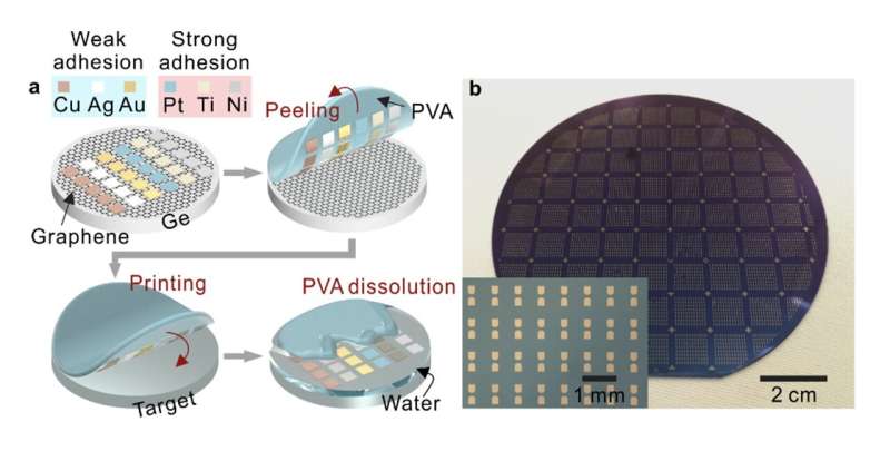 A transfer printing technique to integrate metal electrodes and 2D materials on a wafer-scale