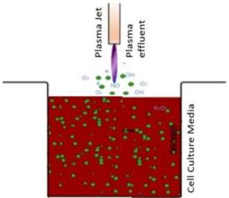 A van der Waals force-based adhesion study of stem cells exposed to cold atmospheric jets