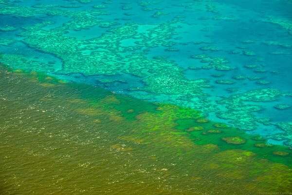 A$1 billion of additional funding will do little for the Great Barrier Reef