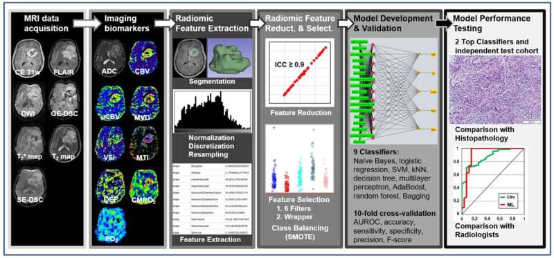 Accurate diagnosis of brain tumors using artificial intelligence