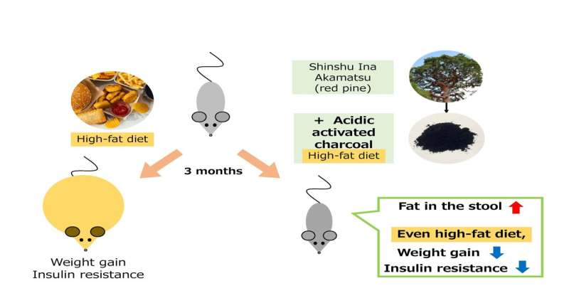 Acidic activated charcoal prevents weight gain and insulin resistance in high-fat diet mice