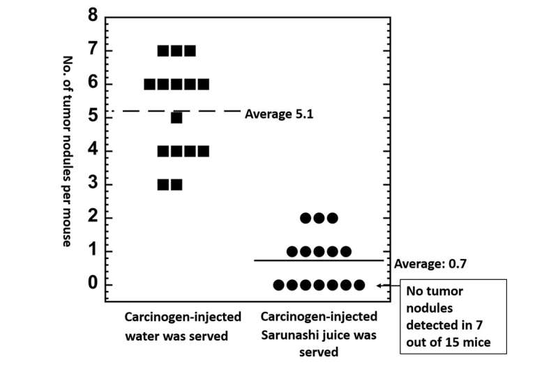 Actinidia arguta (sarunashi) juice inhibits lung cancer in mice