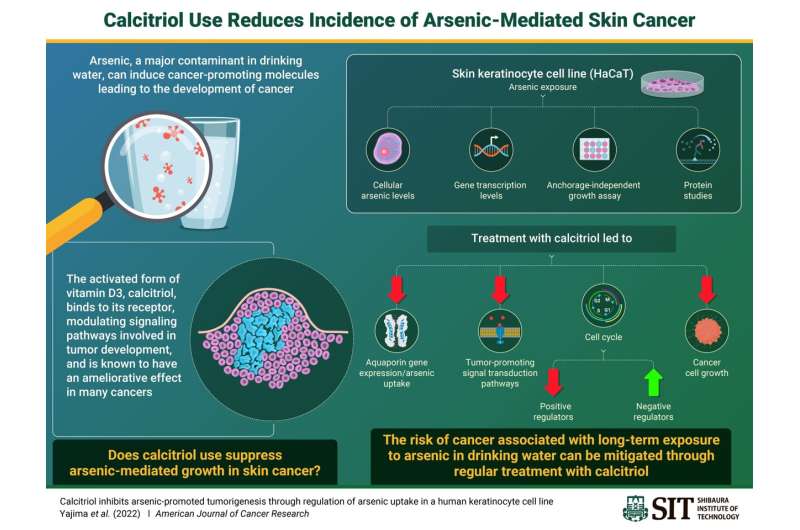 Activated vitamin D3 treatment may reduce the risk of arsenic-mediated skin cancer