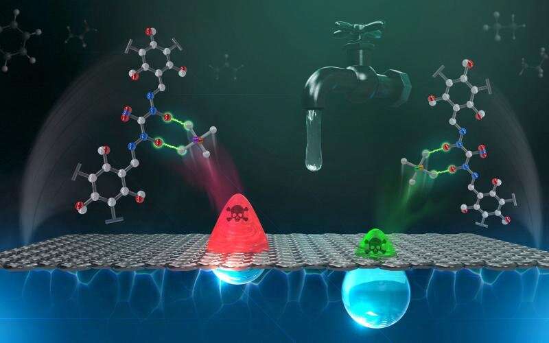 Adsorbent material filters toxic chromium, arsenic from water supplies