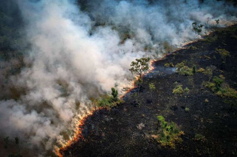 Aerial view of a burnt area in the Amazon rainforest, near the Lago do Cunia Extractive Reserve, on the border of the states of 