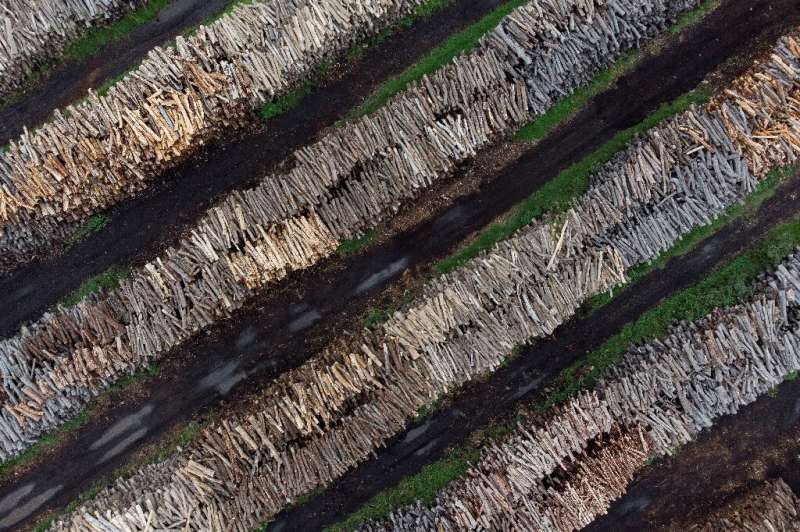 Aerial view of a wood factory in Resistencia, in the province of Chaco, northeast Argentina