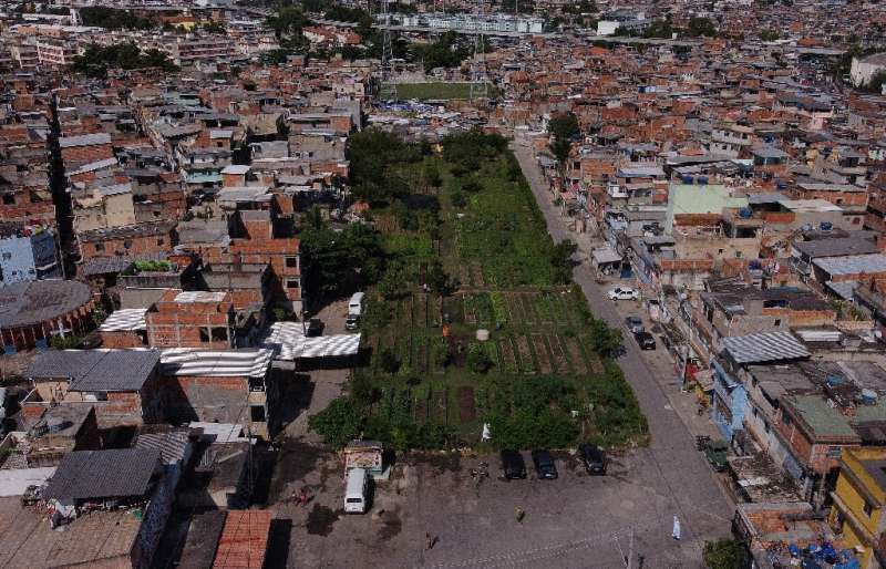 Vista aérea de un jardín urbano en la favela de Manguinhos, en Río de Janeiro, Brasil, el 4 de mayo de 2022
