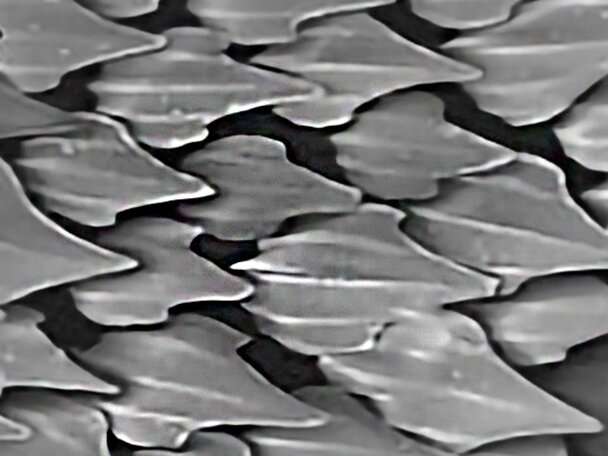 AeroSHARK thin film reduces drag on airplanes