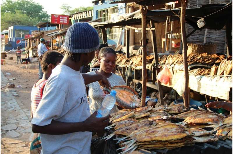 africa fish market