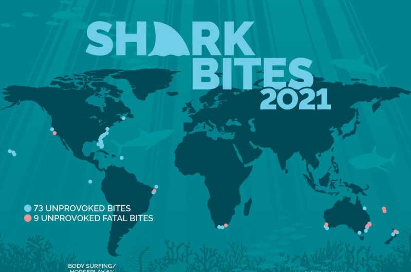 After three years of declines, shark bites are again on the rise